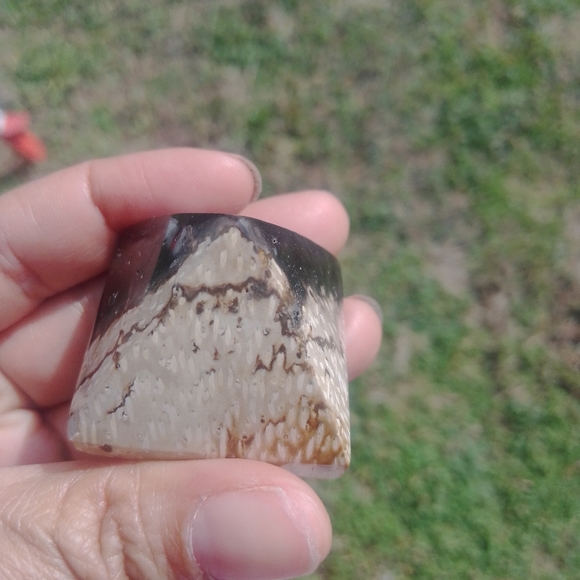 Palmroot pyramid - Picture 4 of 4